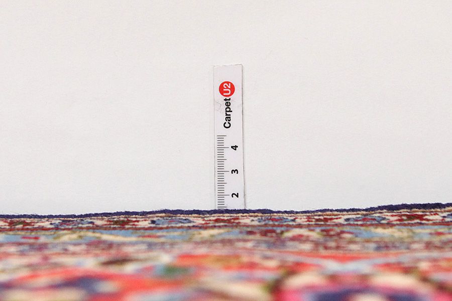 Jozan - Sarouk Persian Carpet 405x297 - Picture 7