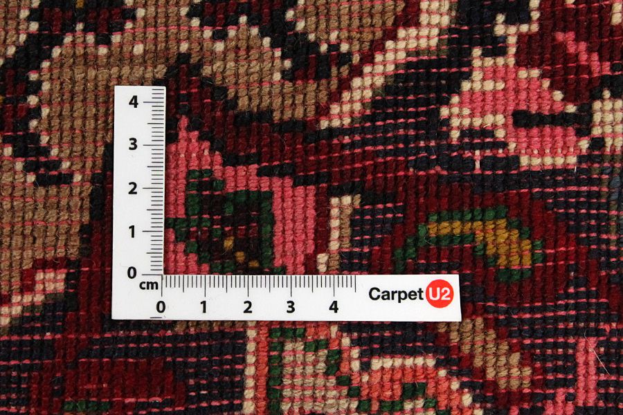 Songhor - Koliai Persian Carpet 305x153 - Picture 3