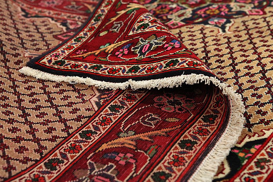 Songhor - Koliai Persian Carpet 305x153 - Picture 4