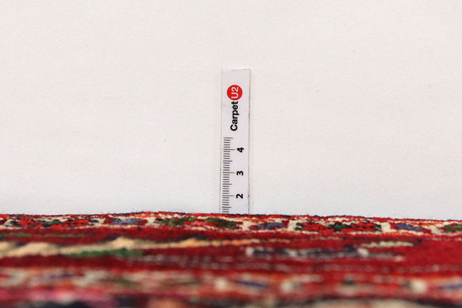 Songhor - Koliai Persian Carpet 305x153 - Picture 7