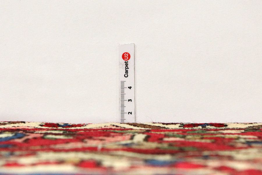 Jozan - Sarouk Persian Carpet 330x205 - Picture 7