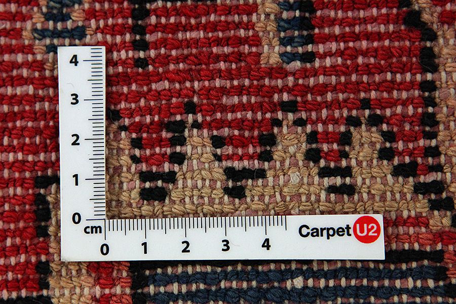 Songhor - Koliai Persian Carpet 310x160 - Picture 3