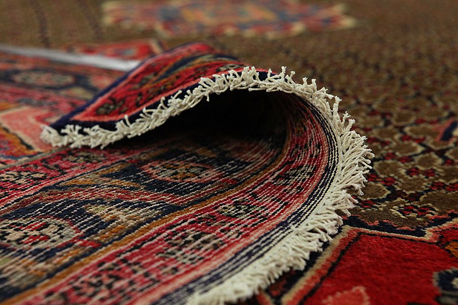 Songhor - Koliai Persian Carpet 310x160 - Picture 4