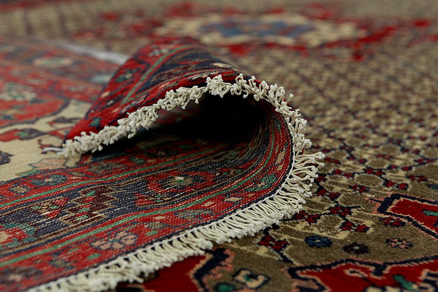 Songhor - Koliai Persian Carpet 315x156 - Picture 4