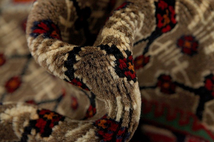 Songhor - Koliai Persian Carpet 290x160 - Picture 5