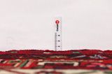 Bijar - Kurdi Persian Carpet 287x167 - Picture 8